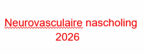 NNW - Neurovasculaire Nascholing 2026